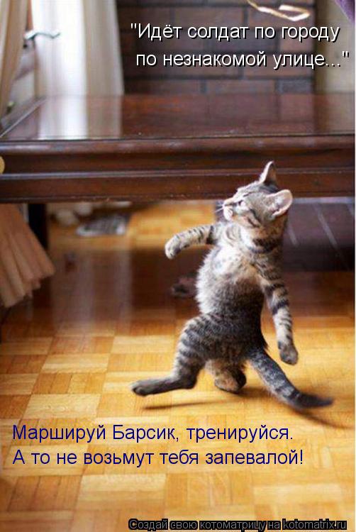 "Идёт солдат по городу по незнакомой улице..." Маршируй Барсик, тренируйся. А то не возьмут тебя зап... Котоматрица: "Идёт солдат по городу по незнакомой улице..." Маршируй Барсик, тренируйся. А то не возьмут тебя запевалой!