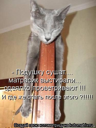 - Подушку сушат.... матрасик выстирали... одеялко проветривают !!! И где же спать после этого ?!!!!!... Котоматрица: - Подушку сушат.... матрасик выстирали... одеялко проветривают !!! И где же спать после этого ?!!!!!