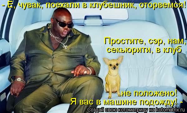 - Е, чувак, поехали в клубешник, оторвемся! Я вас в машине подожду! - Простите, сэр, нам, секьюрити... Котоматрица: - Е, чувак, поехали в клубешник, оторвемся! Я вас в машине подожду! - Простите, сэр, нам, секьюрити, в клуб не положено!