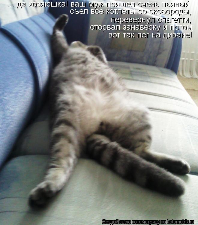 ... да хозяюшка! ваш муж пришел очень пьяный съел все котлеты со сковороды, перевернул спагетти, от... Котоматрица: ... да хозяюшка! ваш муж пришел очень пьяный съел все котлеты со сковороды, перевернул спагетти, оторвал занавеску и потом вот так лег на див