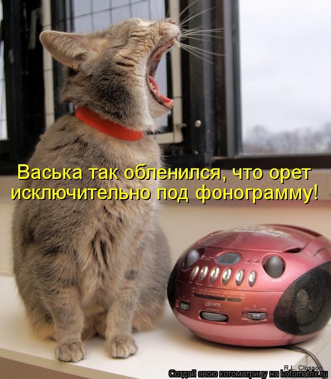 Васька так обленился, что орет исключительно под фонограмму!... Котоматрица: Васька так обленился, что орет исключительно под фонограмму!