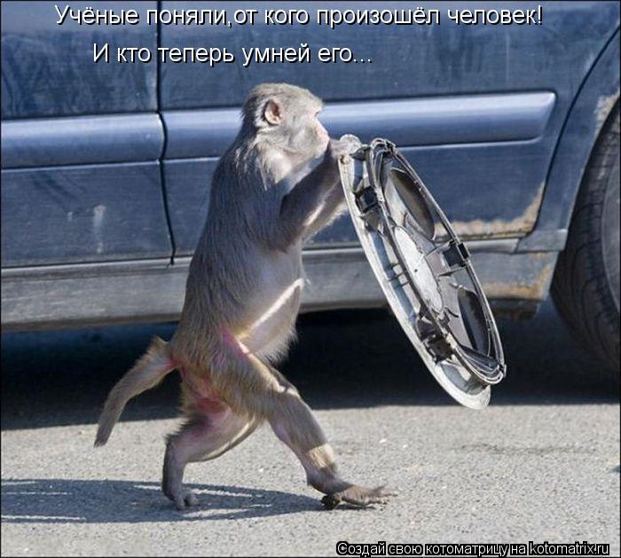 Учёные поняли,от кого произошёл человек! И кто теперь умней его...... Котоматрица: Учёные поняли,от кого произошёл человек! И кто теперь умней его...
