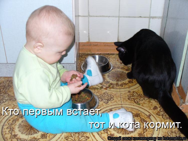 Кто первым встает, тот и кота кормит.... Котоматрица: Кто первым встает, тот и кота кормит.