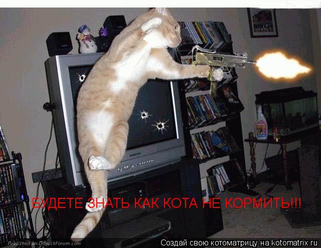 БУДЕТЕ ЗНАТЬ КАК КОТА НЕ КОРМИТЬ!!!... Котоматрица: БУДЕТЕ ЗНАТЬ КАК КОТА НЕ КОРМИТЬ!!!