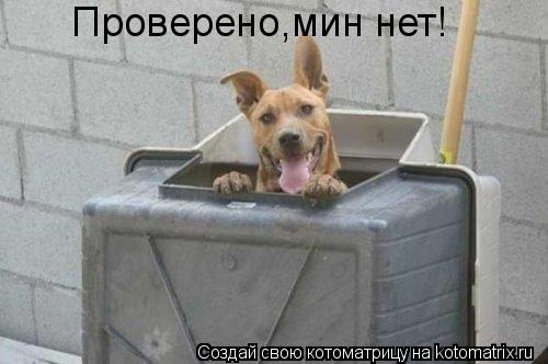 Проверено,мин нет!... Котоматрица: Проверено,мин нет!