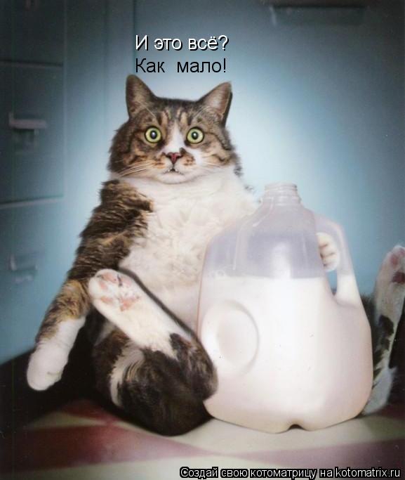 И это всё? Как мало!... Котоматрица: И это всё? Как мало!
