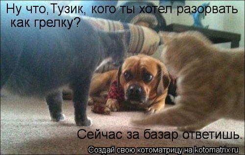 Ну что,Тузик, кого ты хотел разорвать как грелку? как грелку? Сейчас за базар ответишь... Котоматрица: Ну что,Тузик, кого ты хотел разорвать как грелку? как грелку? Сейчас за базар ответишь. Сейчас за базар ответишь.