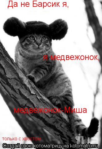 Да не Барсик я, я медвежонок, медвежонок-Миша только с хвостом... Котоматрица: Да не Барсик я, я медвежонок, медвежонок-Миша только с хвостом