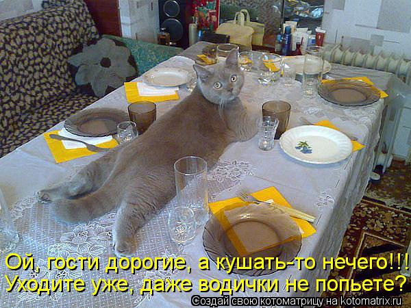 Уходите уже, даже водички не попьете? Ой, гости дорогие, а кушать-то нечего!!!... Котоматрица: Уходите уже, даже водички не попьете? Ой, гости дорогие, а кушать-то нечего!!!