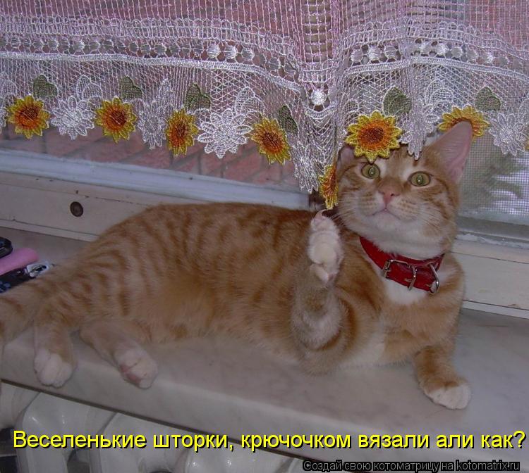 Веселенькие шторки, крючочком вязали али как?... Котоматрица: Веселенькие шторки, крючочком вязали али как?