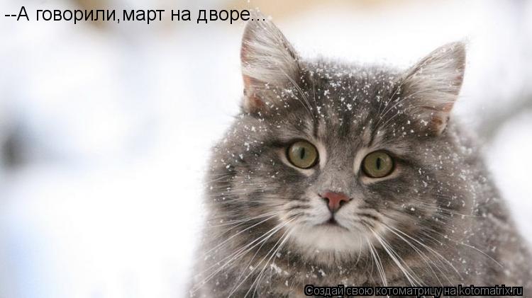 --А говорили,март на дворе...... Котоматрица: --А говорили,март на дворе...