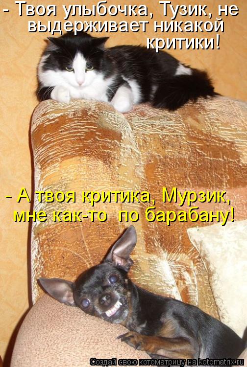 - Твоя улыбочка, Тузик, не выдерживает никакой критики! - А твоя критика, Мурзик, мне как-то по ба... Котоматрица: - Твоя улыбочка, Тузик, не выдерживает никакой критики! - А твоя критика, Мурзик, мне как-то по барабану!