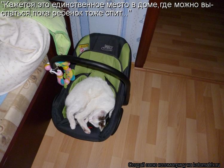 "Кажется,это единственное место в доме,где можно вы- спаться,пока ребёнок тоже спит..."... Котоматрица: "Кажется,это единственное место в доме,где можно вы- спаться,пока ребёнок тоже спит..."