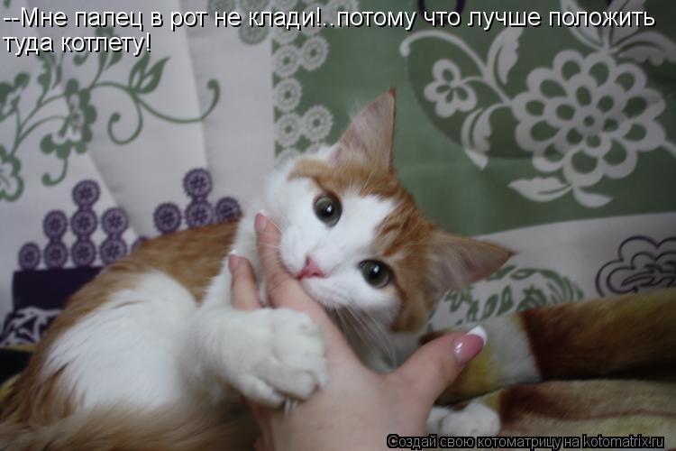 --Мне палец в рот не клади!..потому что лучше положить туда котлету!... Котоматрица: --Мне палец в рот не клади!..потому что лучше положить туда котлету!