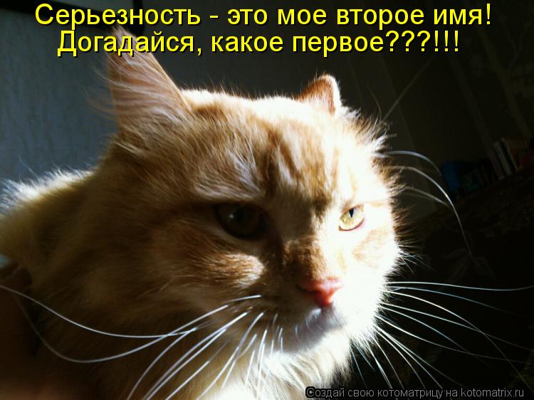 Серьезность - это мое второе имя! Догадайся, какое первое???!!!... Котоматрица: Серьезность - это мое второе имя! Догадайся, какое первое???!!!
