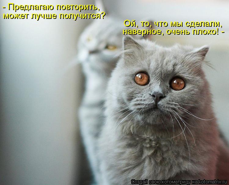 Ой, то, что мы сделали, - Предлагаю повторить, может лучше получится? наверное, очень плохо! -... Котоматрица: Ой, то, что мы сделали, - Предлагаю повторить, может лучше получится? наверное, очень плохо! -