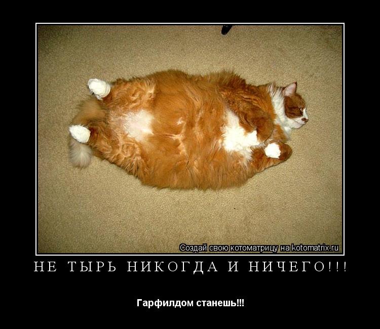 Не тырь никогда и ничего!!! Гарфилдом станешь!!!... Котоматрица: Не тырь никогда и ничего!!! Гарфилдом станешь!!!
