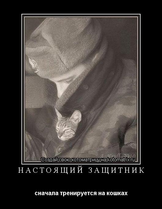 настоящий защитник сначала тренируется на кошках... Котоматрица: настоящий защитник сначала тренируется на кошках