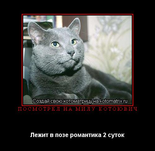 Посмотрел на Милу Котоювич Лежит в позе романтика 2 суток... Котоматрица: Посмотрел на Милу Котоювич Лежит в позе романтика 2 суток