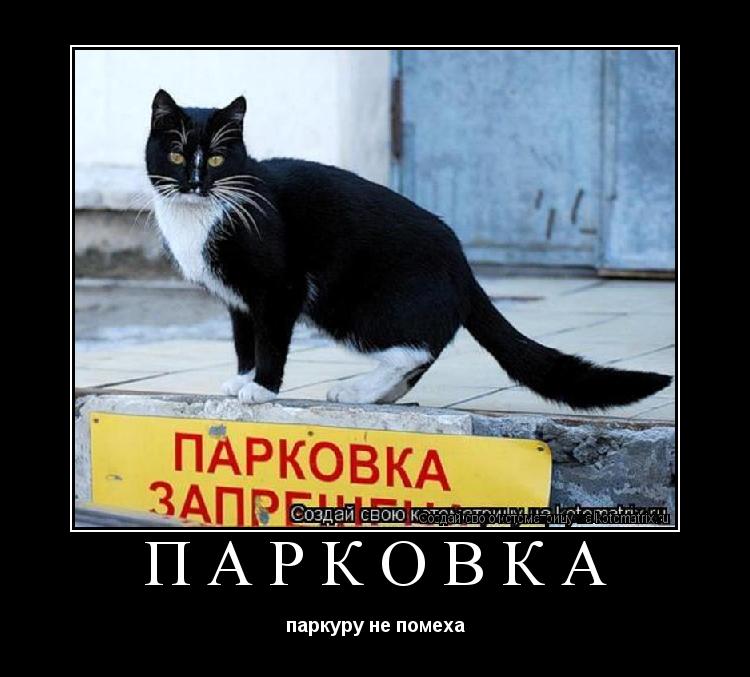 ПАРКОВКА паркуру не помеха... Котоматрица: ПАРКОВКА паркуру не помеха