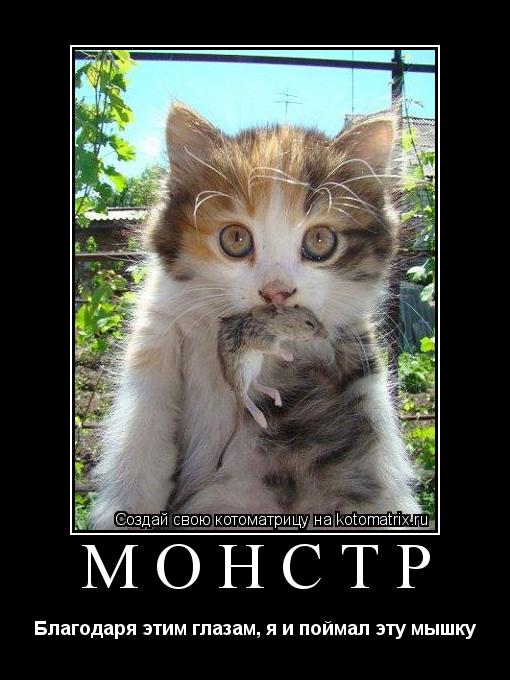Монстр Благодаря этим глазам, я и поймал эту мышку... Котоматрица: Монстр Благодаря этим глазам, я и поймал эту мышку