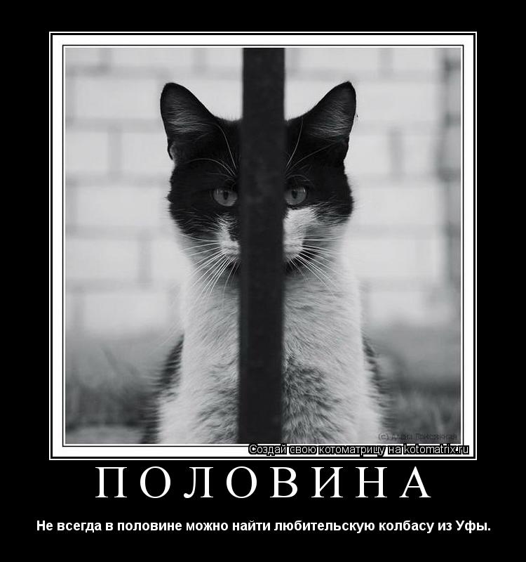 Половина Не всегда в половине можно найти любительскую колбасу из Уфы.... Котоматрица: Половина Не всегда в половине можно найти любительскую колбасу из Уфы.