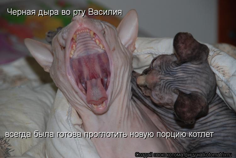 Черная дыра во рту Василия всегда была готова проглотить новую порцию котлет... Котоматрица: Черная дыра во рту Василия всегда была готова проглотить новую порцию котлет