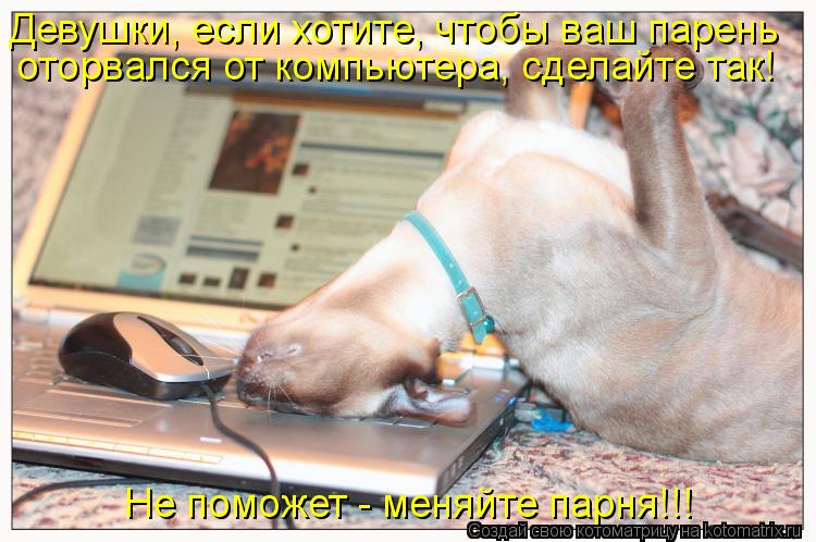 Не поможет - меняйте парня!!! Девушки, если хотите, чтобы ваш парень оторвался от компьютера, сделайт... Котоматрица: Не поможет - меняйте парня!!! Девушки, если хотите, чтобы ваш парень оторвался от компьютера, сделайте так!