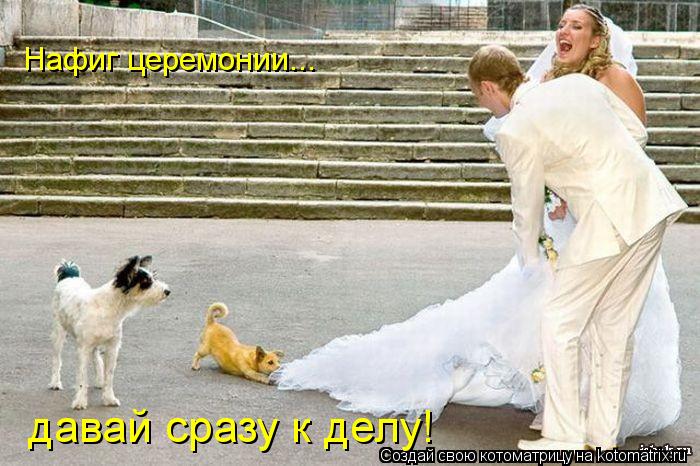 Нафиг церемонии... давай сразу к делу!... Котоматрица: Нафиг церемонии... давай сразу к делу!