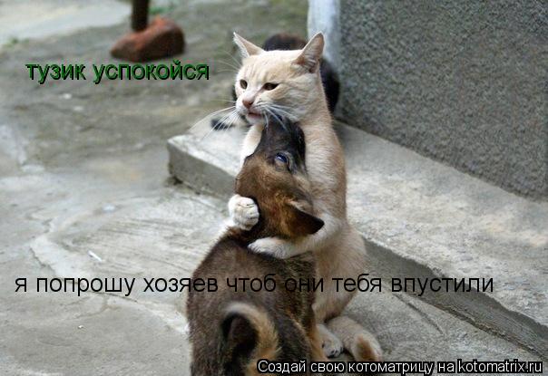 тузик успокойся я попрошу хозяев чтоб они тебя впустили... Котоматрица: тузик успокойся я попрошу хозяев чтоб они тебя впустили