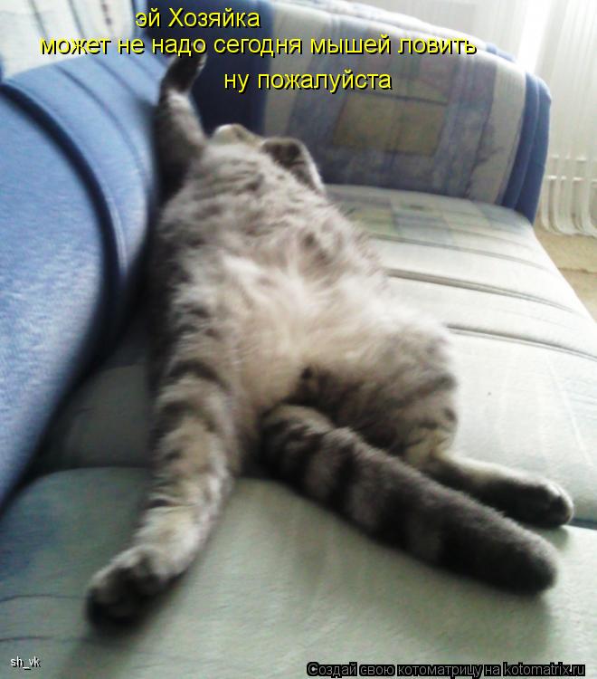 эй Хозяйка может не надо сегодня мышей ловить ну пожалуйста sh_vk... Котоматрица: эй Хозяйка может не надо сегодня мышей ловить ну пожалуйста sh_vk
