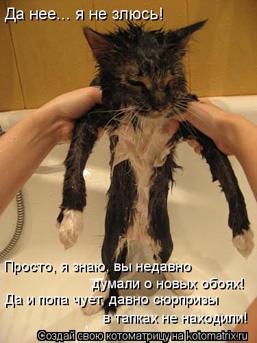 Да нее... я не злюсь! Да и попа чует, давно сюрпризы в тапках не находили! думали о новых обоях! Прос... Котоматрица: Да нее... я не злюсь! Да и попа чует, давно сюрпризы в тапках не находили! думали о новых обоях! Просто, я знаю, вы недавно