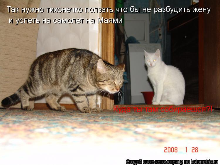 Так нужно тихонечко ползать,что бы не разбудить жену и успеть на самолет на Маями Куда ты там собира... Котоматрица: Так нужно тихонечко ползать,что бы не разбудить жену и успеть на самолет на Маями Куда ты там собираешся?!