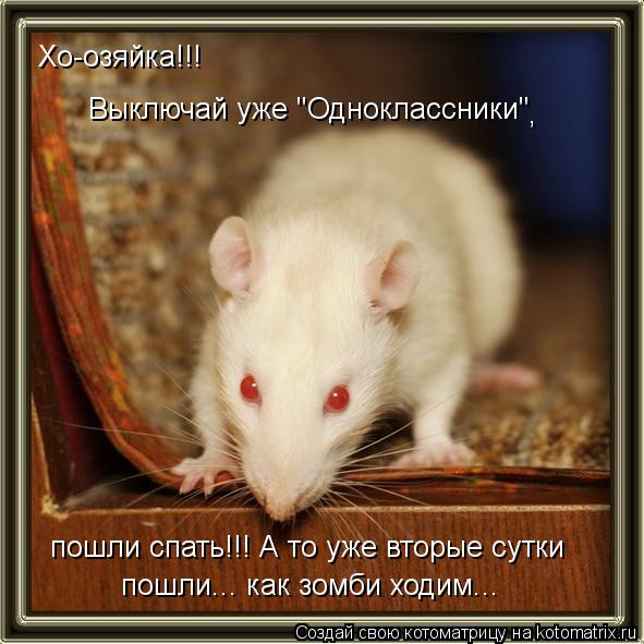 Хо-озяйка!!! Выключай уже "Одноклассники" , пошли спать!!! А то уже вторые сутки пошли... как зомби ... Котоматрица: Хо-озяйка!!! Выключай уже "Одноклассники" , пошли спать!!! А то уже вторые сутки пошли... как зомби ходим...