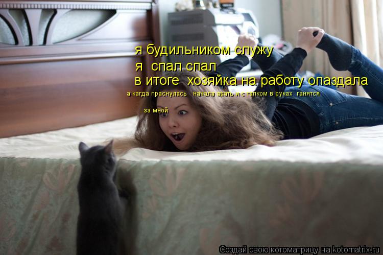 я будильником служу я спал спал в итоге хозяйка на работу опаздала а кагда праснулась начала ар... Котоматрица: я будильником служу я спал спал в итоге хозяйка на работу опаздала а кагда праснулась начала арать и с тапком в руках ганятся за мной