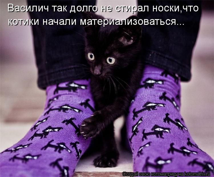 Котоматрица: Василич так долго не стирал носки,что котики начали материализоваться...