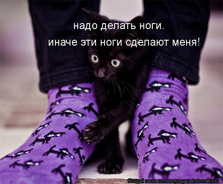 надо делать ноги. иначе эти ноги сделают меня!... Котоматрица: надо делать ноги. иначе эти ноги сделают меня!