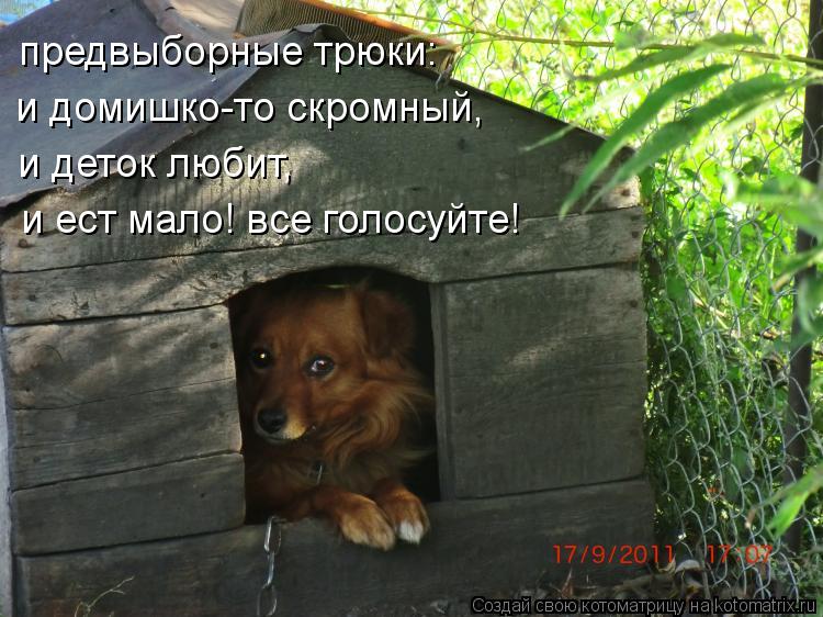 предвыборные трюки: и домишко-то скромный, и деток любит, и ест мало! все голосуйте!... Котоматрица: предвыборные трюки: и домишко-то скромный, и деток любит, и ест мало! все голосуйте!