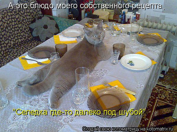 А это блюдо моего собственного рецепта . "Селедка где-то далеко под шубой"... Котоматрица: А это блюдо моего собственного рецепта . "Селедка где-то далеко под шубой"
