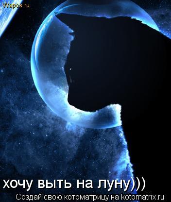 хочу выть на луну)))... Котоматрица: хочу выть на луну)))