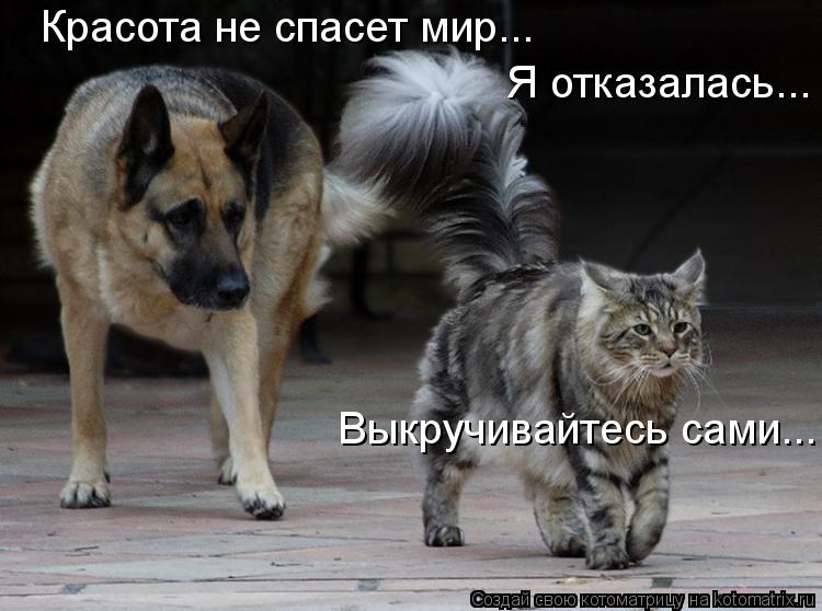 Красота не спасет мир... Я отказалась... Выкручивайтесь сами...... Котоматрица: Красота не спасет мир... Я отказалась... Выкручивайтесь сами...