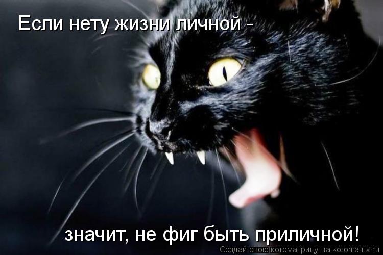 Если нету жизни личной - значит, не фиг быть приличной!... Котоматрица: Если нету жизни личной - значит, не фиг быть приличной!
