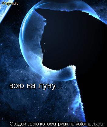 вою на луну...... Котоматрица: вою на луну...