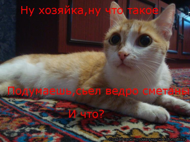 Ну хозяйка,ну что такое Подумаешь,сьел ведро сметаны И что?... Котоматрица: Ну хозяйка,ну что такое Подумаешь,сьел ведро сметаны И что?