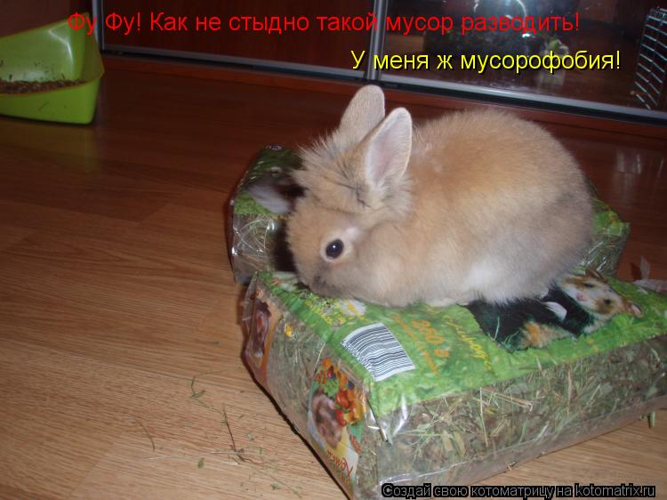 Фу Фу! Как не стыдно такой мусор разводить! У меня ж мусорофобия!... Котоматрица: Фу Фу! Как не стыдно такой мусор разводить! У меня ж мусорофобия!