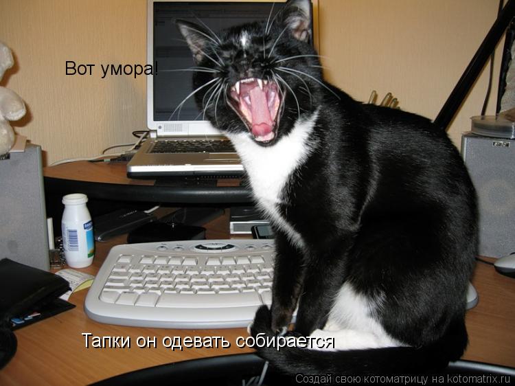 Вот умора! Тапки он одевать собирается... Котоматрица: Вот умора! Тапки он одевать собирается