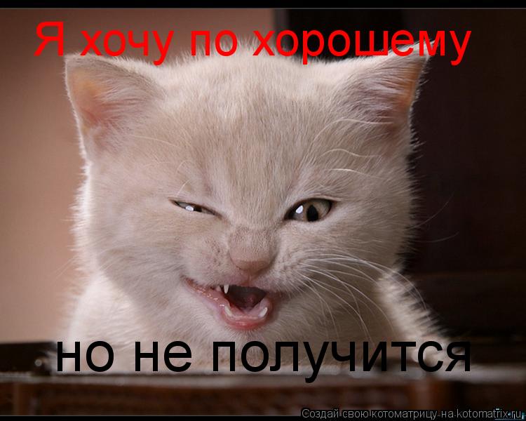 Я хочу по хорошему но не получится... Котоматрица: Я хочу по хорошему но не получится