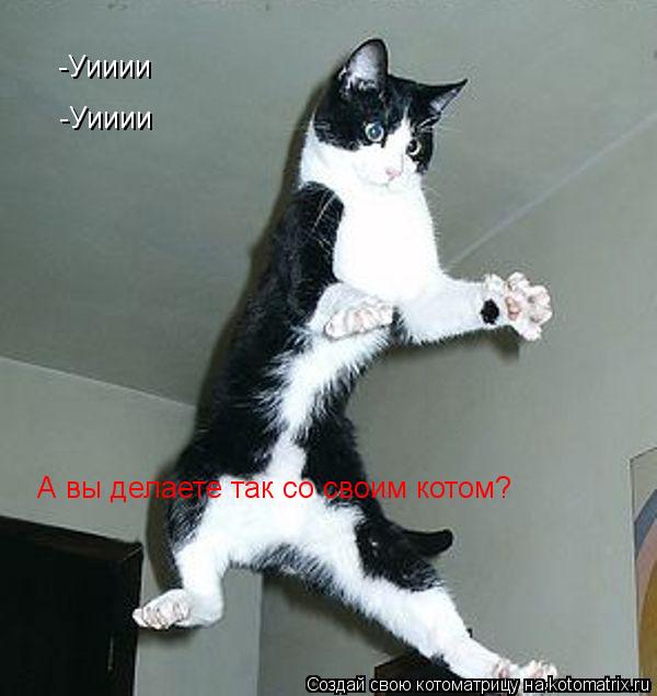 -Уииии -Уииии -Уииии А вы делаете так со своим котом?... Котоматрица: -Уииии -Уииии -Уииии А вы делаете так со своим котом?