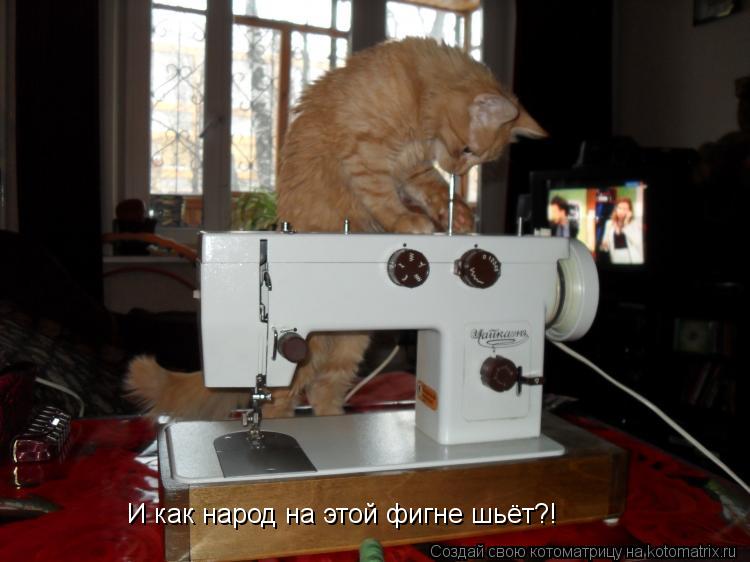 И как народ на этой фигне шьёт?!... Котоматрица: И как народ на этой фигне шьёт?!