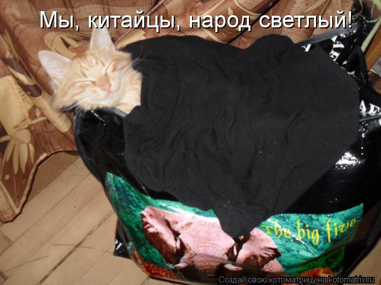 Котоматрица: Мы, китайцы, народ светлый!